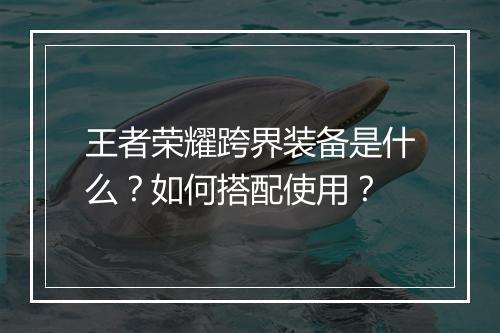 王者荣耀跨界装备是什么？如何搭配使用？