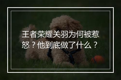 王者荣耀关羽为何被惹怒?他到底做了什么?