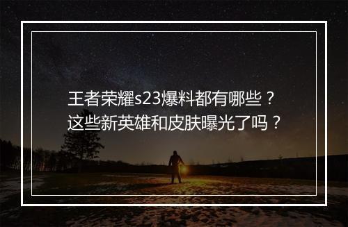 王者荣耀s23爆料都有哪些?这些新英雄和皮肤曝光了吗?