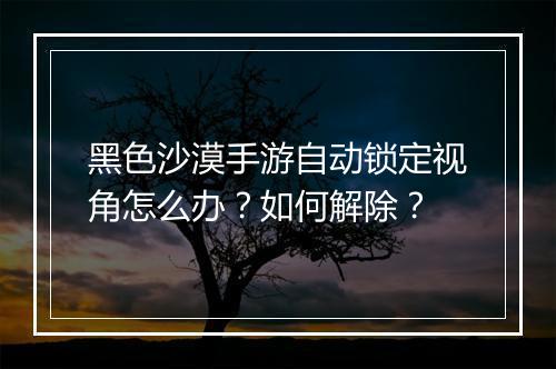 黑色沙漠手游自动锁定视角怎么办？如何解除？