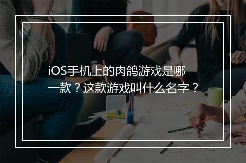 iOS手机上的肉鸽游戏是哪一款?这款游戏叫什么名字?