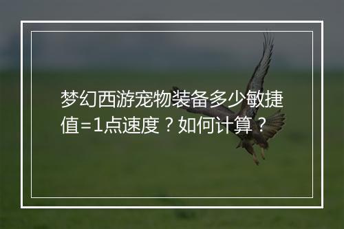 梦幻西游宠物装备多少敏捷值=1点速度?如何计算?