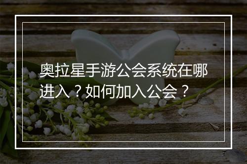 奥拉星手游公会系统在哪进入？如何加入公会？