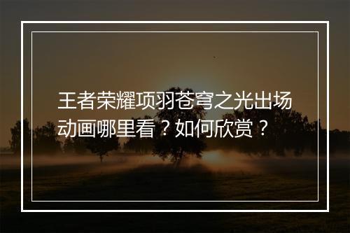 王者荣耀项羽苍穹之光出场动画哪里看？如何欣赏？