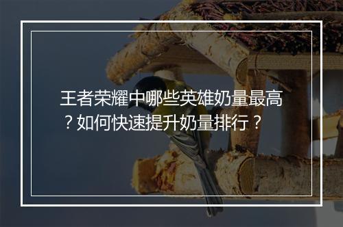 王者荣耀中哪些英雄奶量最高?如何快速提升奶量排行?