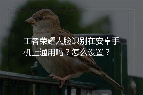 王者荣耀人脸识别在安卓手机上通用吗？怎么设置？