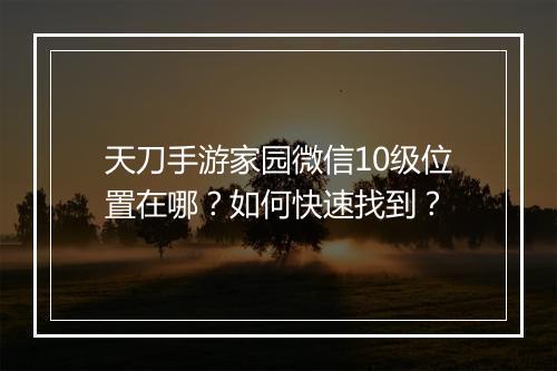 天刀手游家园微信10级位置在哪?如何快速找到?