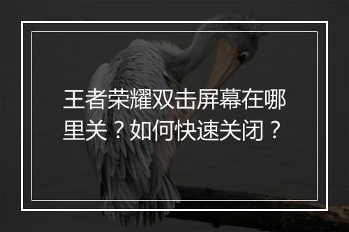 王者荣耀双击屏幕在哪里关?如何快速关闭?