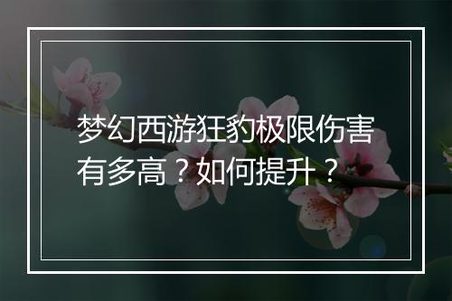 梦幻西游狂豹极限伤害有多高?如何提升?