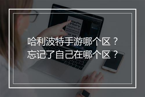 哈利波特手游哪个区?忘记了自己在哪个区?