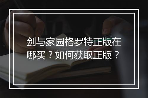 剑与家园格罗特正版在哪买?如何获取正版?