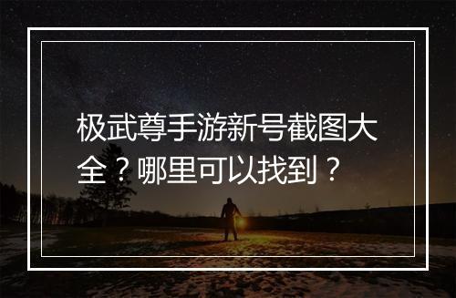 极武尊手游新号截图大全?哪里可以找到?