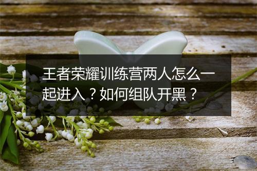 王者荣耀训练营两人怎么一起进入?如何组队开黑?