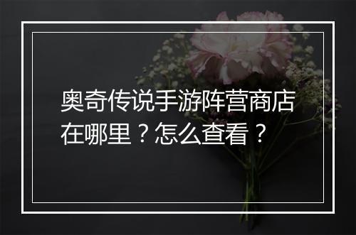 奥奇传说手游阵营商店在哪里?怎么查看?