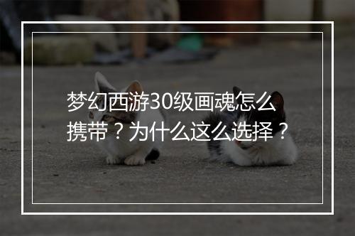 梦幻西游30级画魂怎么携带?为什么这么选择?