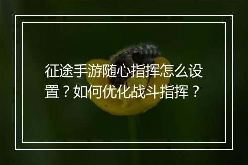 征途手游随心指挥怎么设置?如何优化战斗指挥?