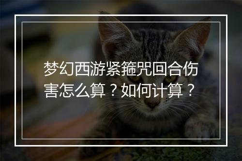 梦幻西游紧箍咒回合伤害怎么算?如何计算?