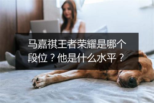 马嘉祺王者荣耀是哪个段位？他是什么水平？