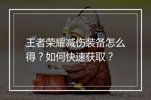 王者荣耀减伤装备怎么得?如何快速获取?