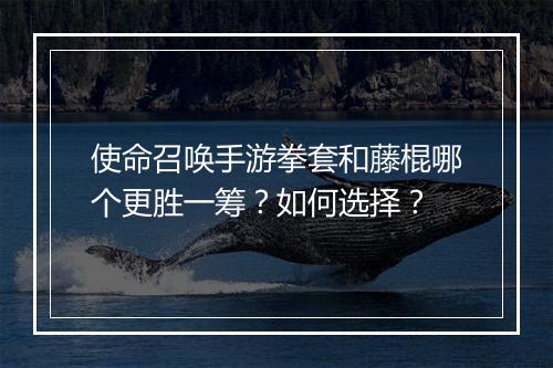使命召唤手游拳套和藤棍哪个更胜一筹?如何选择?