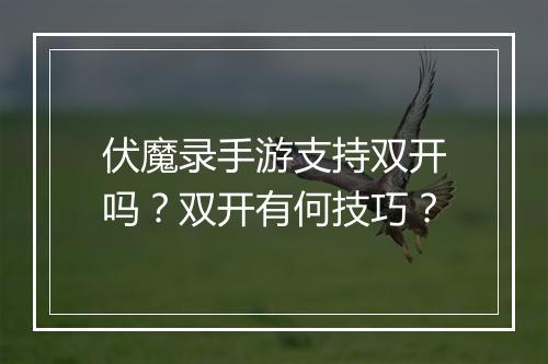 伏魔录手游支持双开吗？双开有何技巧？