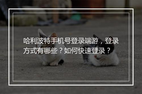哈利波特手机号登录端游,登录方式有哪些?如何快速登录?