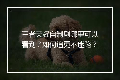 王者荣耀自制剧哪里可以看到？如何追更不迷路？