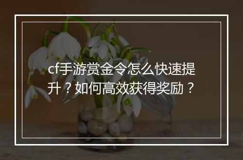 cf手游赏金令怎么快速提升?如何高效获得奖励?