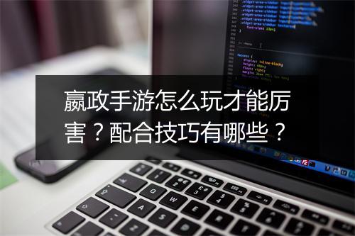 嬴政手游怎么玩才能厉害?配合技巧有哪些?