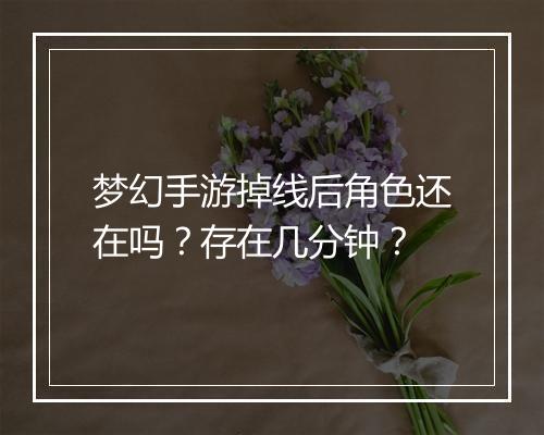 梦幻手游掉线后角色还在吗?存在几分钟?
