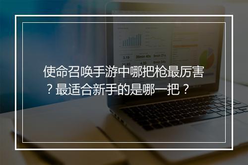 使命召唤手游中哪把枪最厉害？最适合新手的是哪一把？