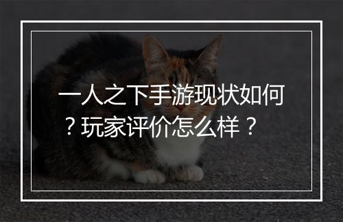 一人之下手游现状如何？玩家评价怎么样？