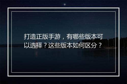 打造正版手游，有哪些版本可以选择？这些版本如何区分？
