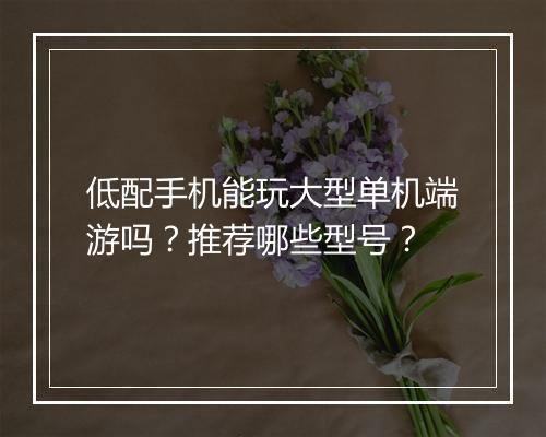 低配手机能玩大型单机端游吗？推荐哪些型号？