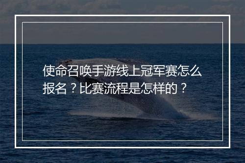 使命召唤手游线上冠军赛怎么报名？比赛流程是怎样的？