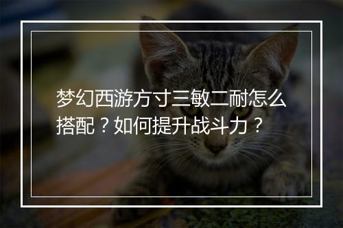 梦幻西游方寸三敏二耐怎么搭配？如何提升战斗力？