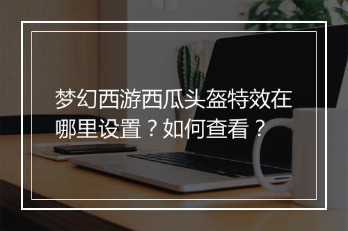 梦幻西游西瓜头盔特效在哪里设置?如何查看?