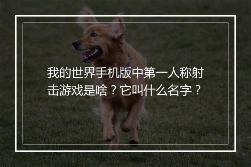 我的世界手机版中第一人称射击游戏是啥？它叫什么名字？