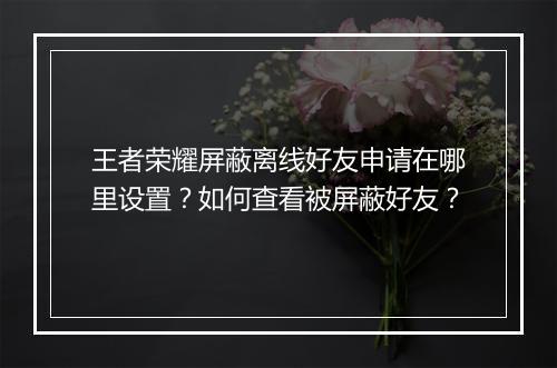 王者荣耀屏蔽离线好友申请在哪里设置？如何查看被屏蔽好友？