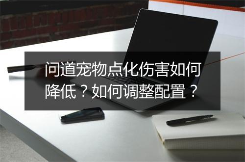 问道宠物点化伤害如何降低？如何调整配置？