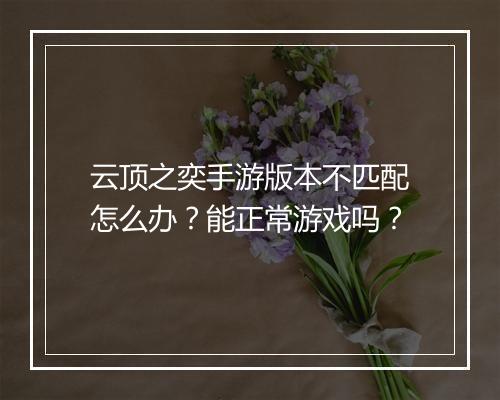 云顶之奕手游版本不匹配怎么办？能正常游戏吗？