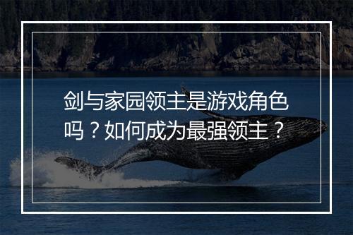剑与家园领主是游戏角色吗？如何成为最强领主？