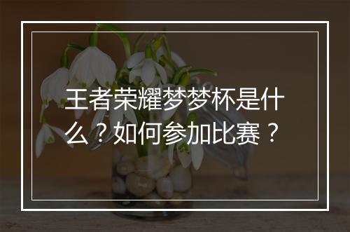 王者荣耀梦梦杯是什么？如何参加比赛？