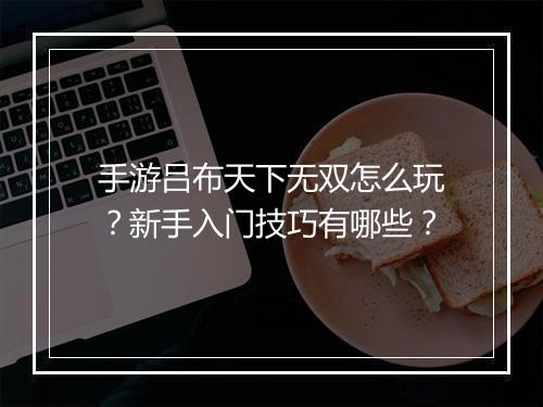 手游吕布天下无双怎么玩?新手入门技巧有哪些?