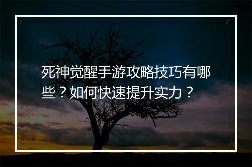 死神觉醒手游攻略技巧有哪些？如何快速提升实力？