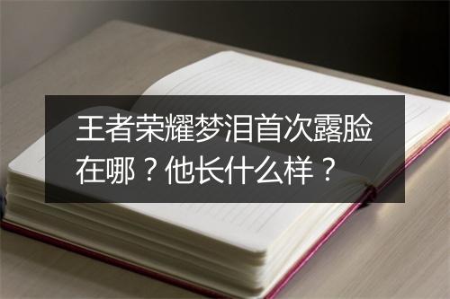 王者荣耀梦泪首次露脸在哪?他长什么样?