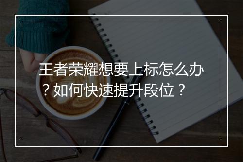 王者荣耀想要上标怎么办？如何快速提升段位？