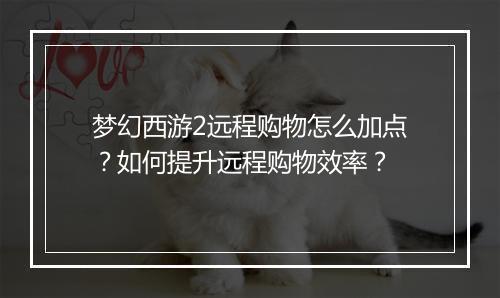 梦幻西游2远程购物怎么加点？如何提升远程购物效率？