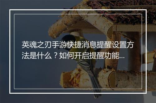 英魂之刃手游快捷消息提醒设置方法是什么？如何开启提醒功能？