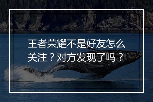 王者荣耀不是好友怎么关注？对方发现了吗？